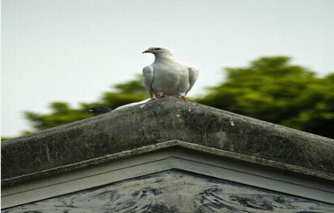 上游泳课教练在水下c我