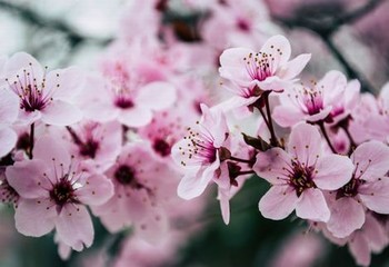 怎样跟女孩子聊天聊出感情