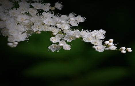 没带套子让你c了一天